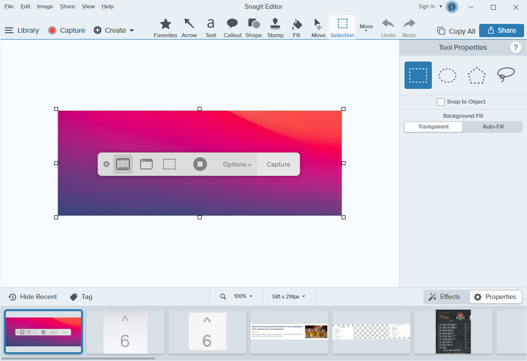 snagit editor