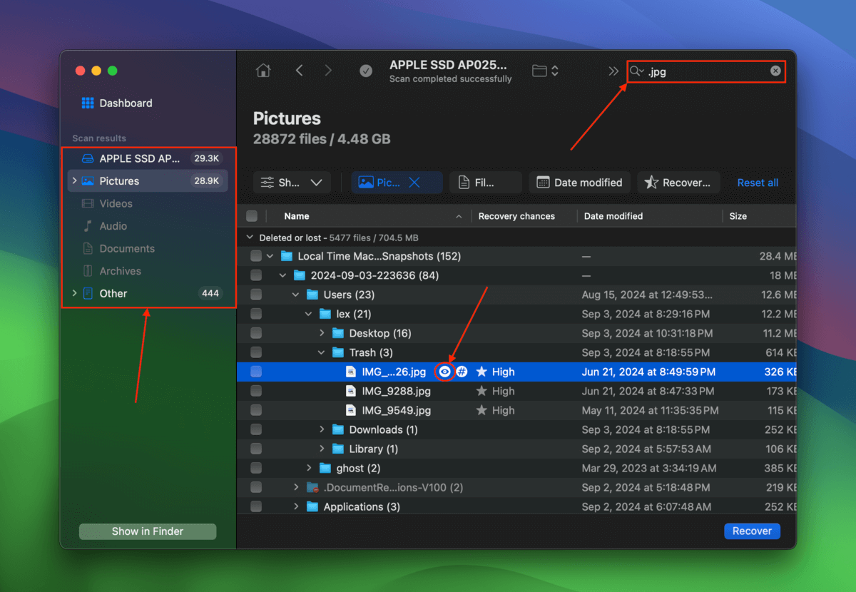 Filters and search tool in Disk Drill file browser
