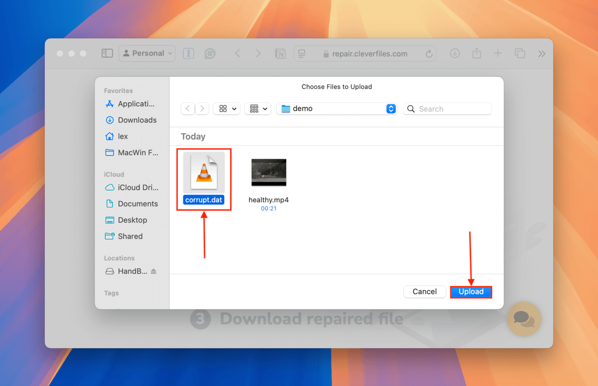 Clever Online Video Repair file selection dialogue window 