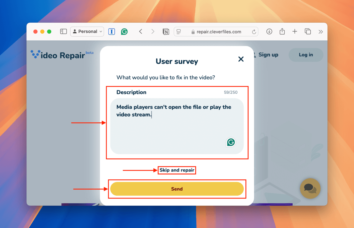 User survey dialogue window in Clever Online Video Repair