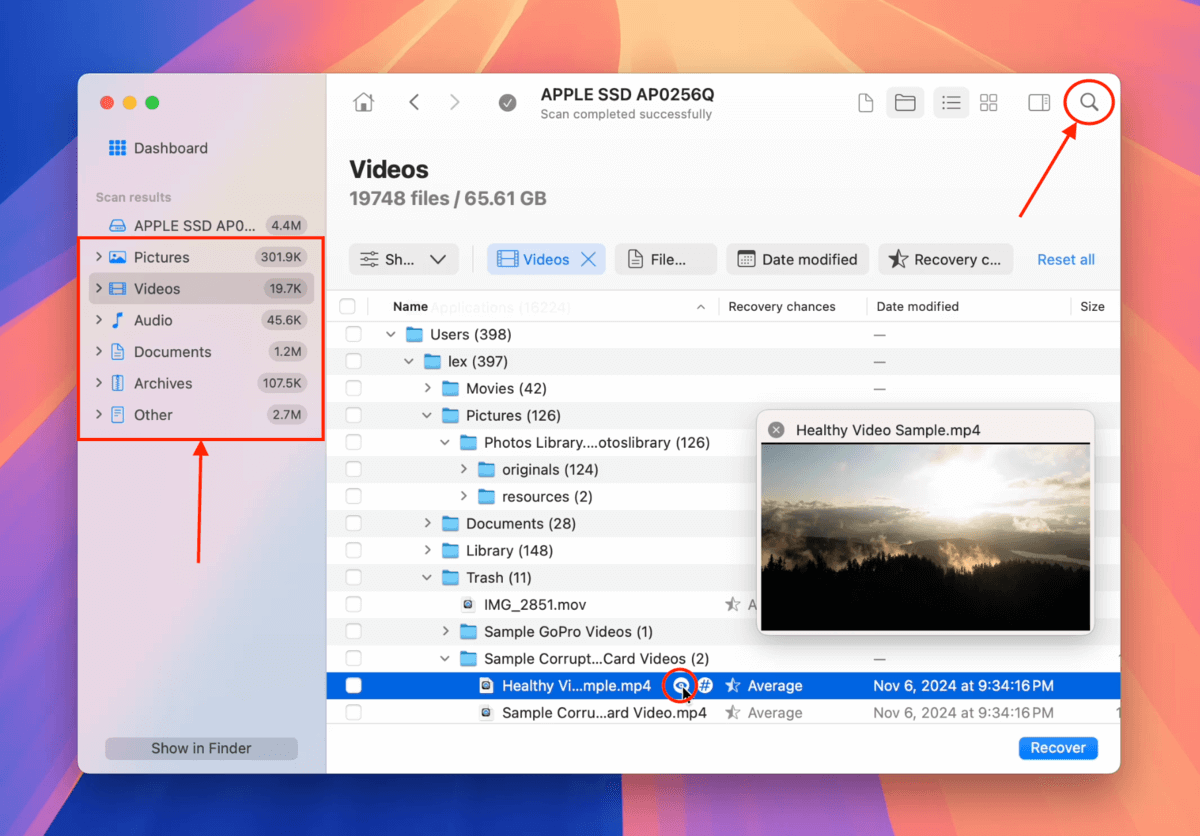 Disk Drill filters, search tool, and preview feature
