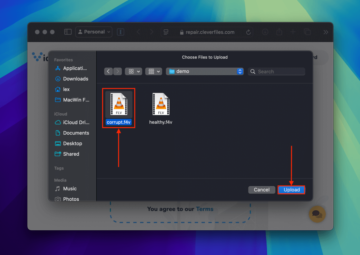 Clever Online Video Repair file selection dialogue window