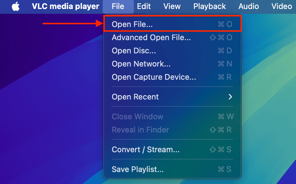 Open File button in the VLC Media Player settings File menu