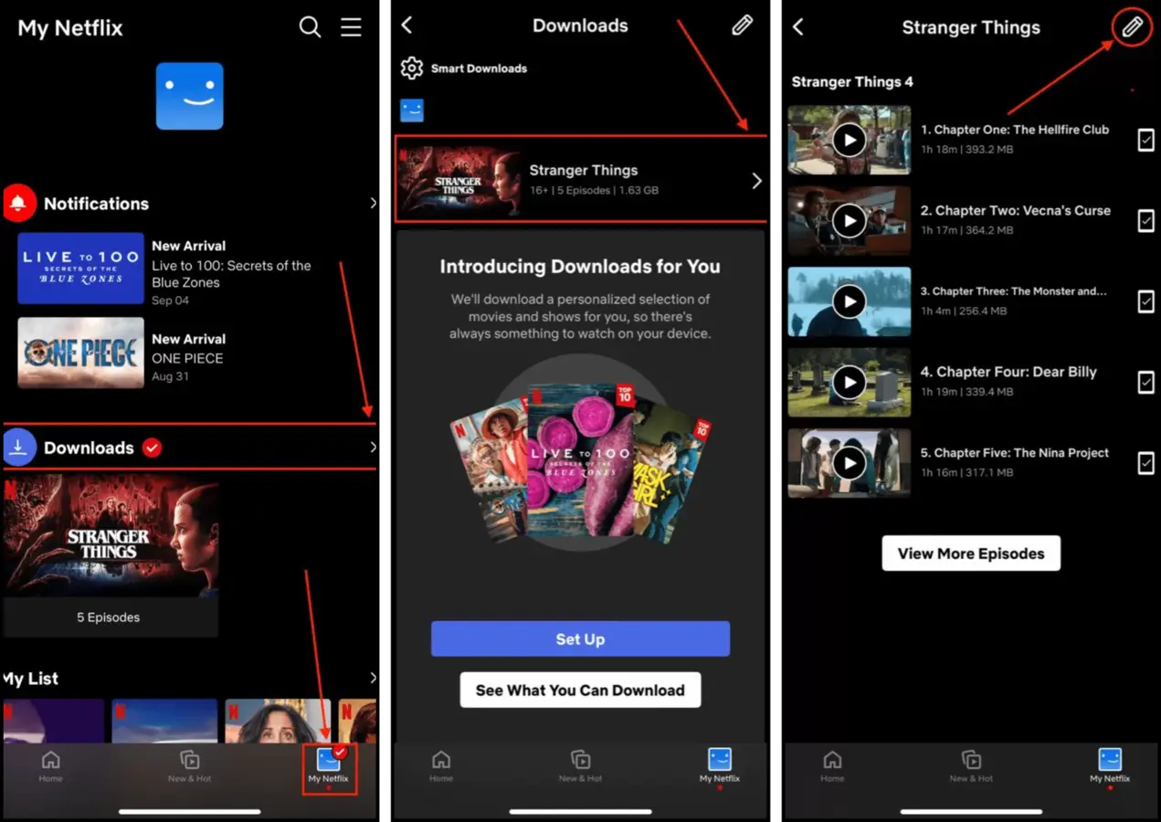 Selecting movies and show episodes to delete from the iPhone Netflix app